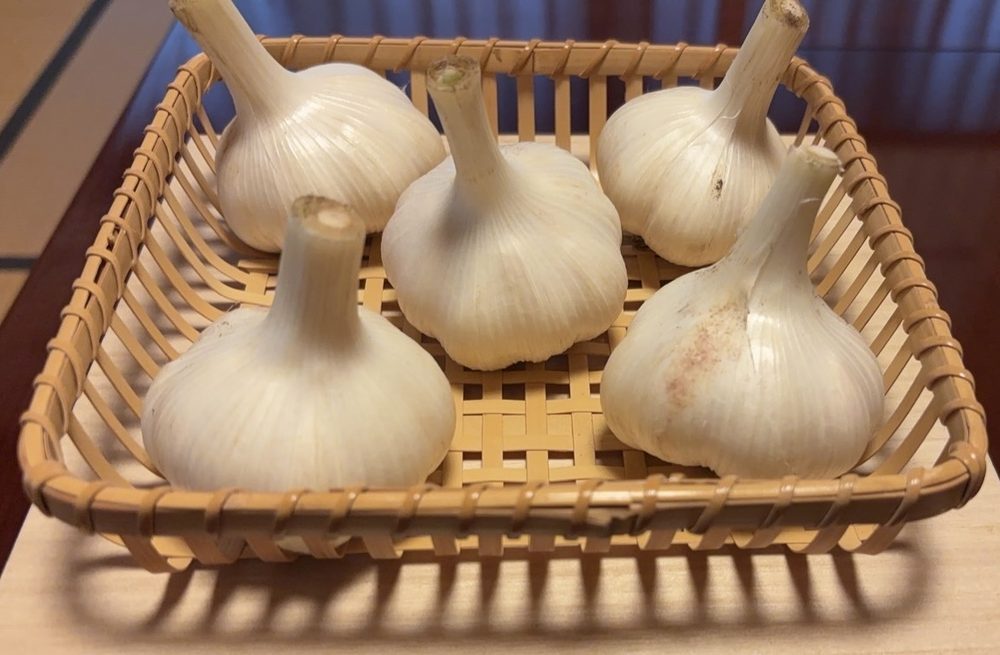 にんにくを販売しています 1