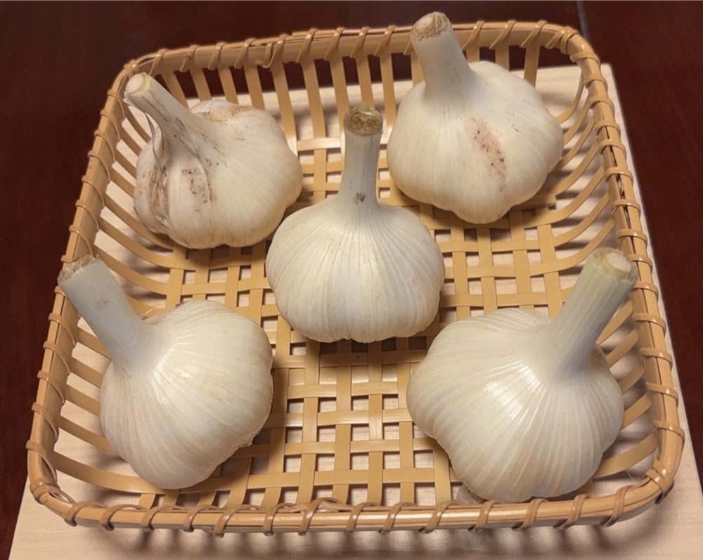 にんにくを販売しています 2